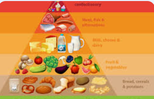 🍽️ Food We Eat in Our Daily Life | TeachingHub.co.in